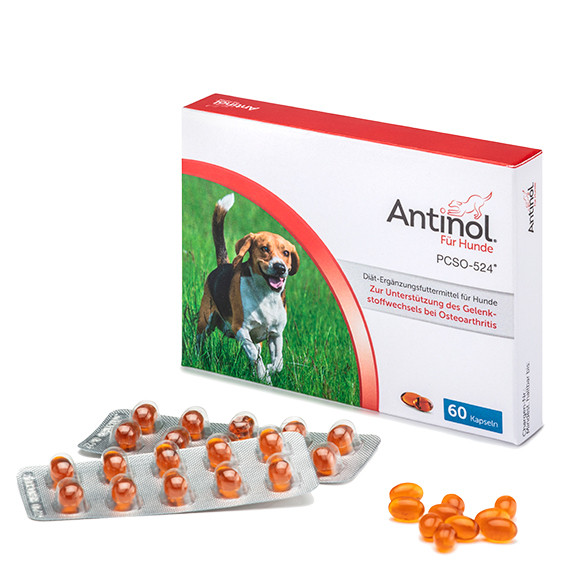 Antinol für Hunde 60 Kapseln