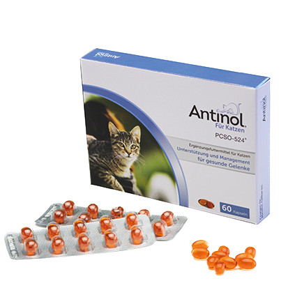 Antinol für Katzen 60 Kapseln