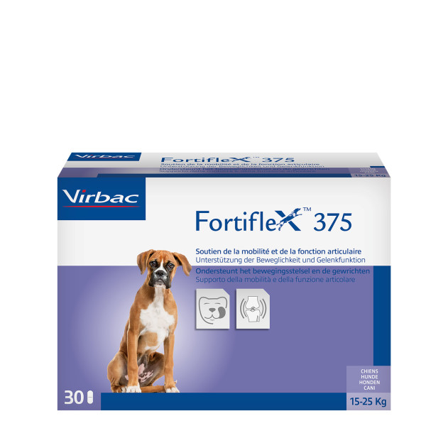 Fortiflex 375 mg 30 Tabl.