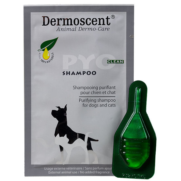 Dermoscent PYO Shampoo und Spot-On Hund 0-10kg und Katze