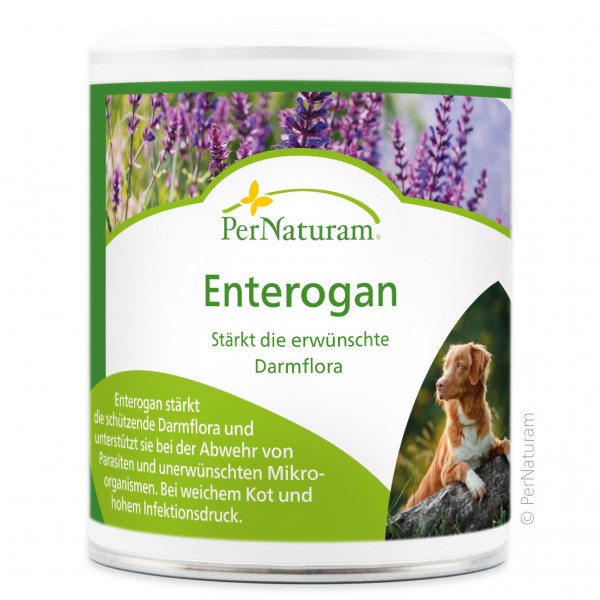 PerNaturam Enterogan-Dog 100g