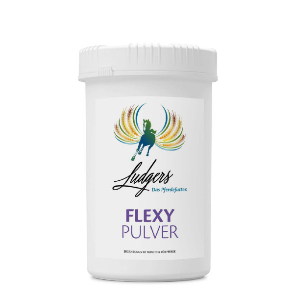 Ludgers Flexy Pulver 1,8 kg